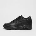 Air Max 90 Leather (GS)