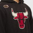 NBA Worn Logo Hoody Chicago Bulls 