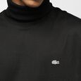 Long Sleeved Turtle Neck